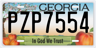 GA license plate PZP7554