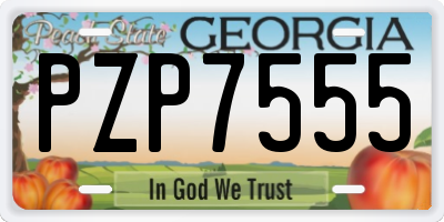 GA license plate PZP7555