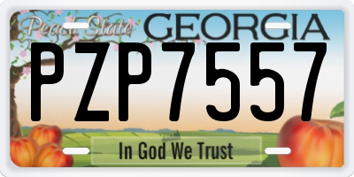 GA license plate PZP7557