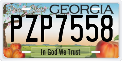 GA license plate PZP7558