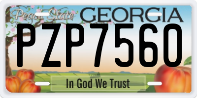 GA license plate PZP7560