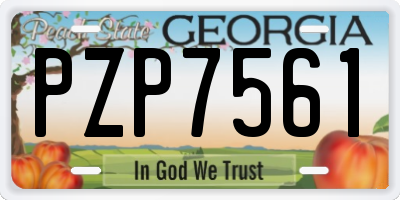GA license plate PZP7561