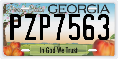 GA license plate PZP7563