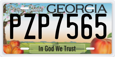 GA license plate PZP7565