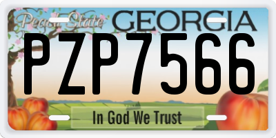 GA license plate PZP7566