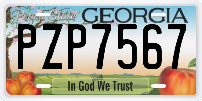GA license plate PZP7567