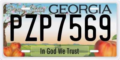 GA license plate PZP7569