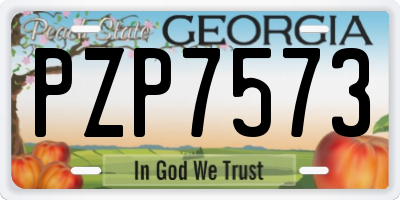 GA license plate PZP7573