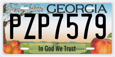 GA license plate PZP7579