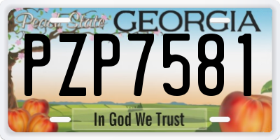 GA license plate PZP7581