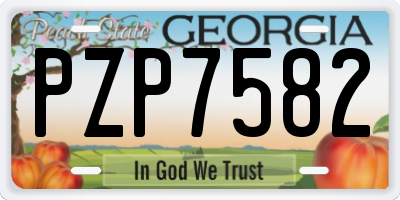 GA license plate PZP7582