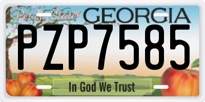 GA license plate PZP7585