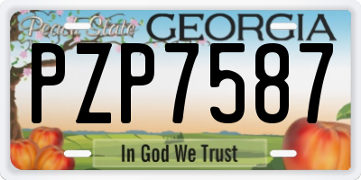 GA license plate PZP7587