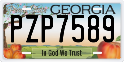 GA license plate PZP7589