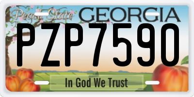 GA license plate PZP7590