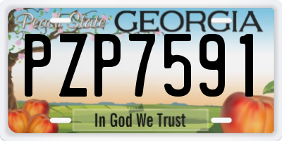 GA license plate PZP7591
