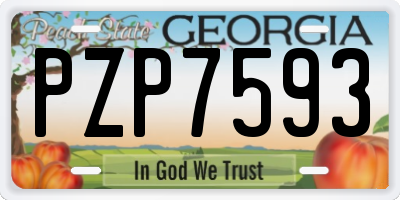 GA license plate PZP7593