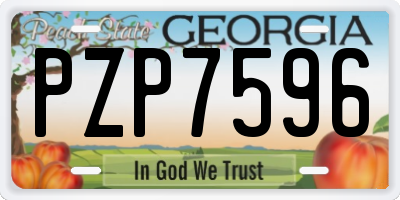 GA license plate PZP7596