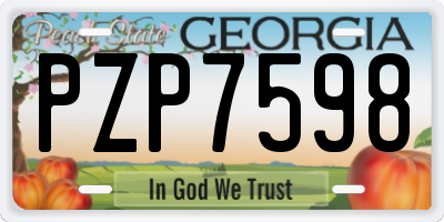 GA license plate PZP7598