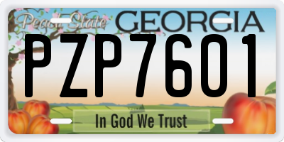 GA license plate PZP7601