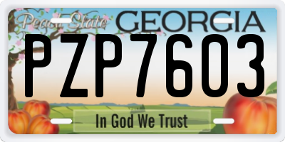 GA license plate PZP7603
