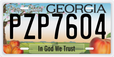 GA license plate PZP7604