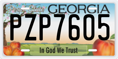 GA license plate PZP7605