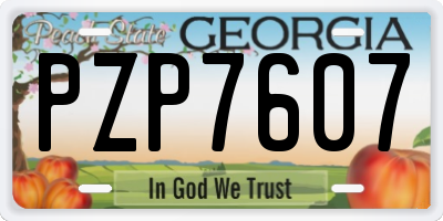 GA license plate PZP7607