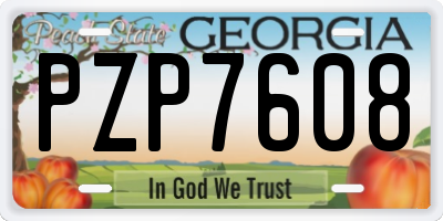 GA license plate PZP7608