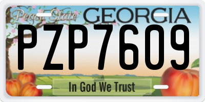 GA license plate PZP7609