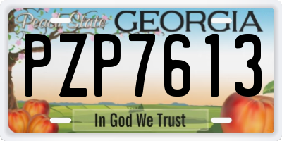 GA license plate PZP7613