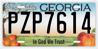 GA license plate PZP7614