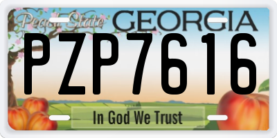 GA license plate PZP7616