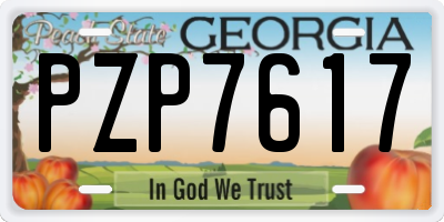 GA license plate PZP7617