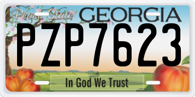 GA license plate PZP7623