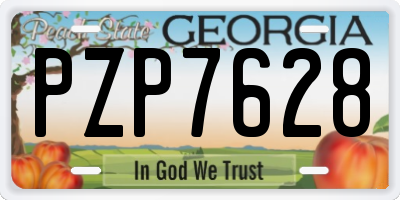 GA license plate PZP7628