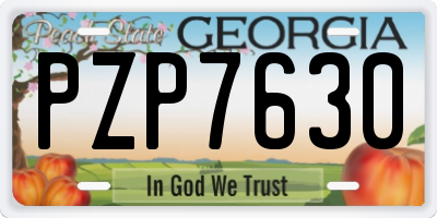 GA license plate PZP7630