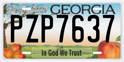 GA license plate PZP7637