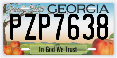 GA license plate PZP7638