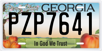 GA license plate PZP7641