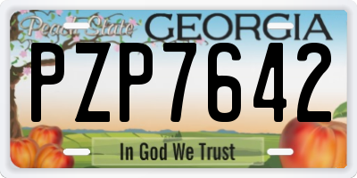 GA license plate PZP7642