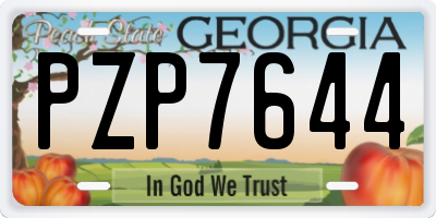 GA license plate PZP7644