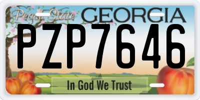 GA license plate PZP7646