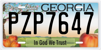 GA license plate PZP7647