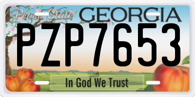 GA license plate PZP7653