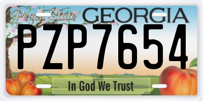 GA license plate PZP7654