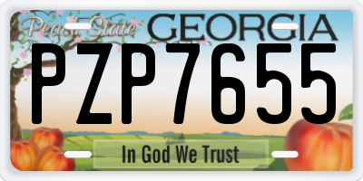 GA license plate PZP7655