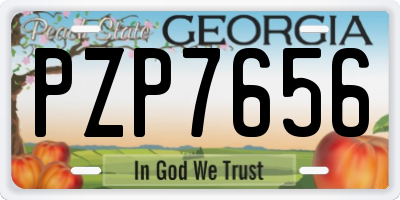 GA license plate PZP7656