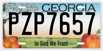 GA license plate PZP7657