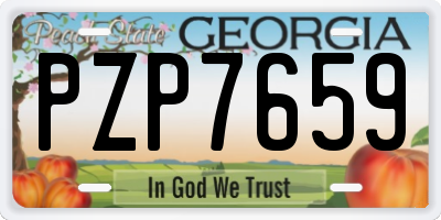 GA license plate PZP7659